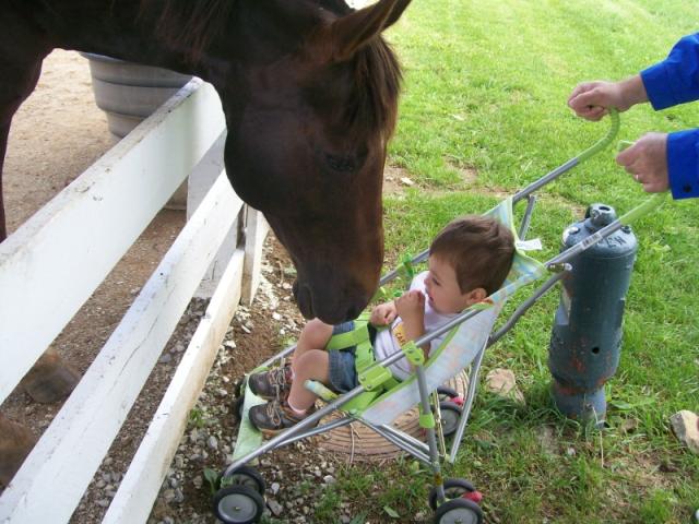 Ray and Horse