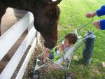 Ray and Horse