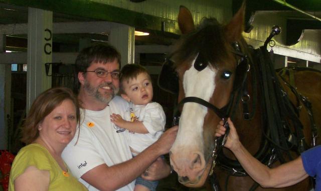 pet the horse