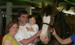 pet the horse